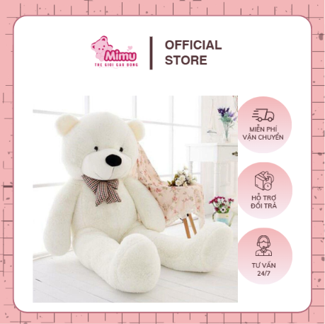 gấu tetdy trắng size lớn